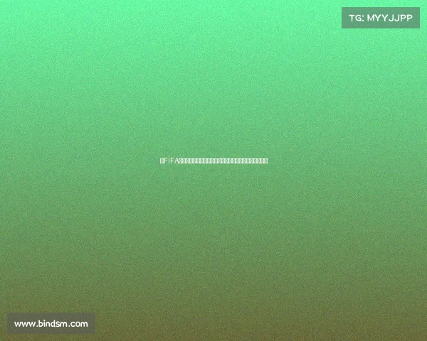 以FIFA世界杯第二行为中心的赛事解析与球队表现全景观察报告