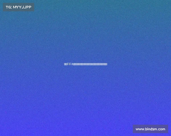 寅子FIFA世界杯精彩瞬间回顾与赛场热议全面解析幕后故事揭秘